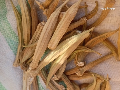 فروش بامیه خشگ