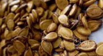 فروش تخمه هندوانه خام