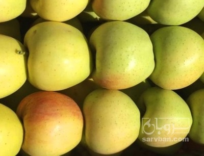 فروش سیب زرد