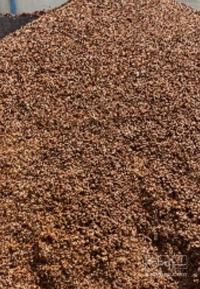 فروش تفاله سیب درختی