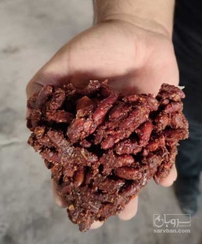 فروش  تفاله هسته خرما