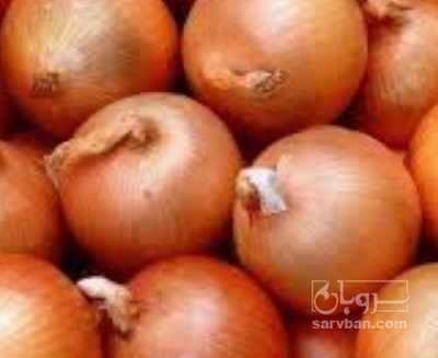 فروش پیاز زرد