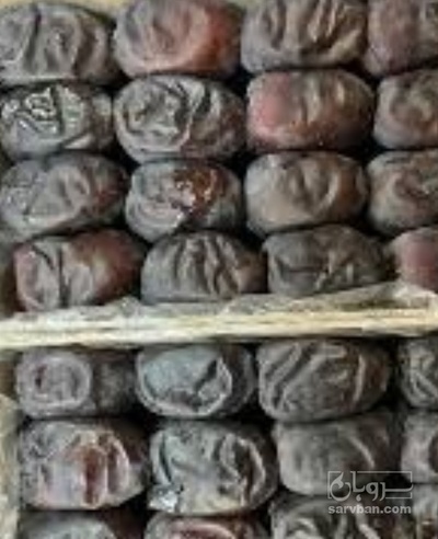 فروش خرما مضافتی