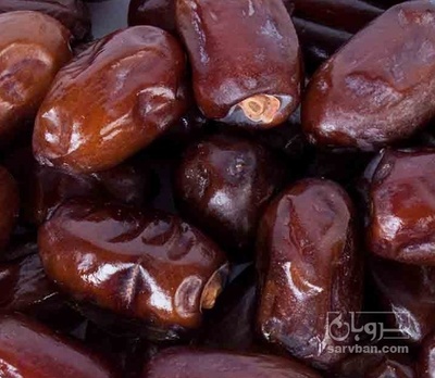 فروش خرما ربی