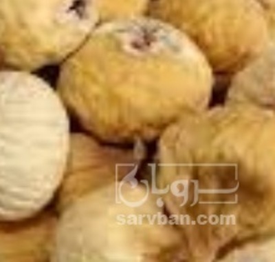 فروش انجیر خشک