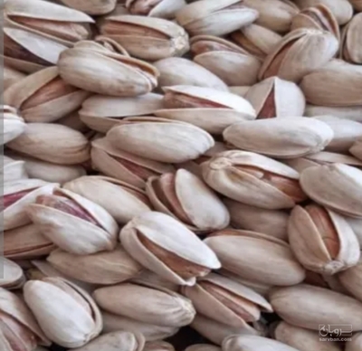 فروش پسته