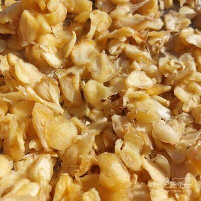 فروش سیر خشک -