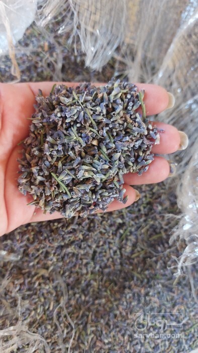 فروش اسطوخودوس (گیاه‌ دارویی)