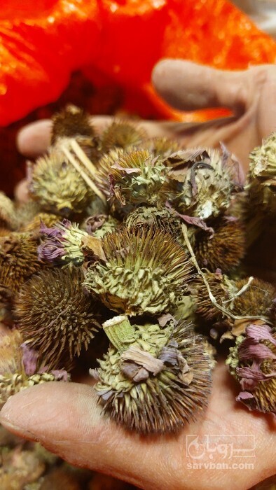 فروش سرخار گل (گیاه‌ دارویی)