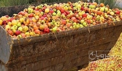 فروش سیب ضایعاتی