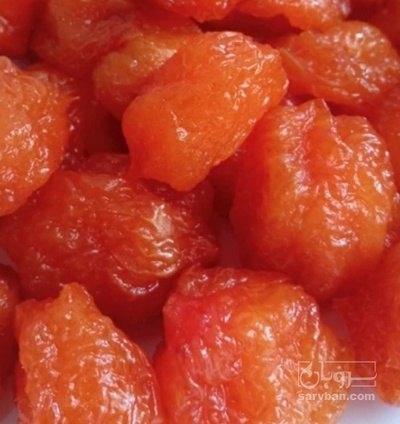 فروش آلو طرقبه