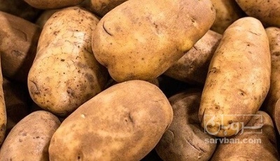 فروش سیب زمینی