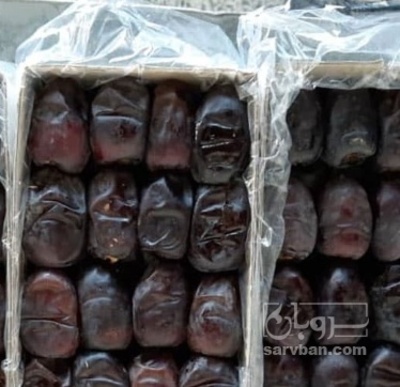 فروش خرما مضافتی