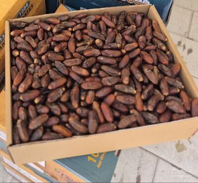 فروش خرما ربی