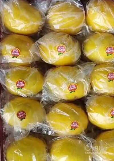 فروش لیمو ترش