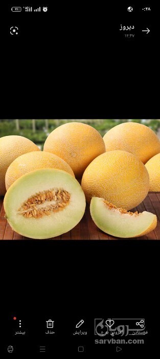 فروش ملون