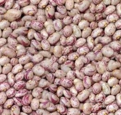 فروش لوبیا چیتی