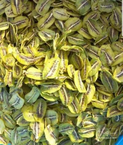 فروش کیوی خشک