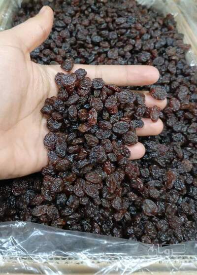 فروش کشمش