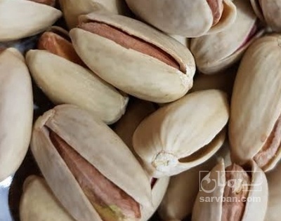 فروش پسته