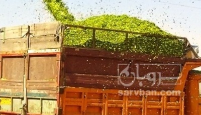 فروش چاپر ذرت - سیلاژ ذرت