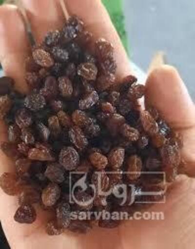 فروش کشمش آفتابی