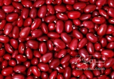 فروش لوبیا قرمز