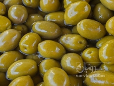 فروش زیتون کنسروی