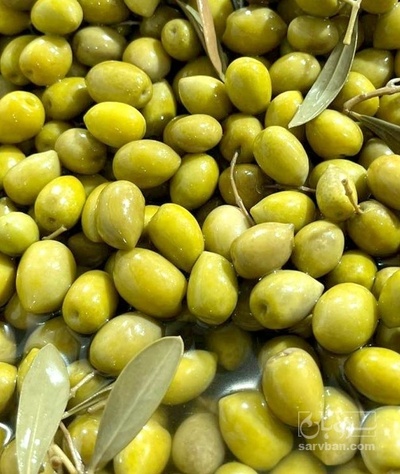 فروش زیتون بی هسته