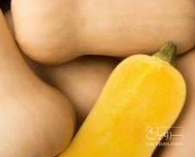 فروش کدو حلوایی