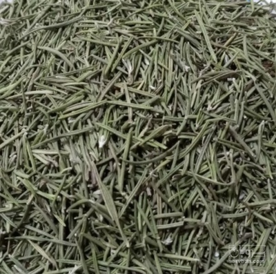 فروش رزماری (گیاه‌ دارویی)