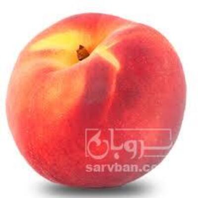 فروش هلو