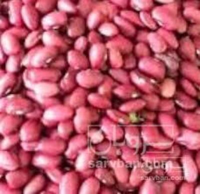 فروش لوبیا قرمز