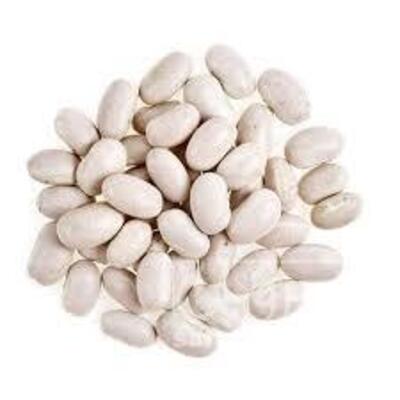 فروش لوبیا سفید