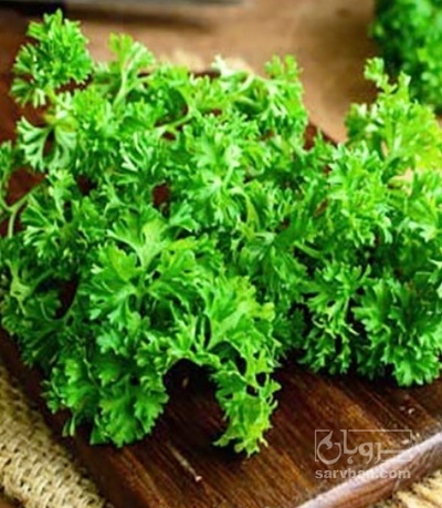 فروش جعفری فر