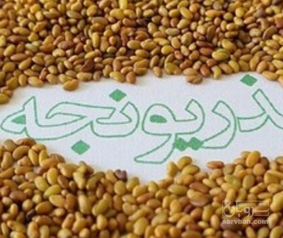 فروش بذر یونجه بمی