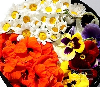 فروش گل خوراکی