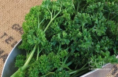 فروش جعفری فر