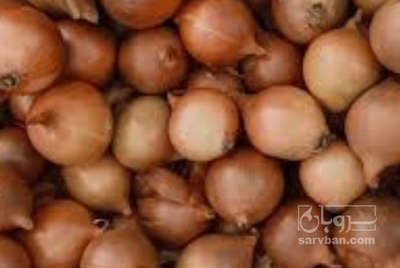 فروش پیاز زرد