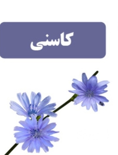 فروش عرق کاسنی