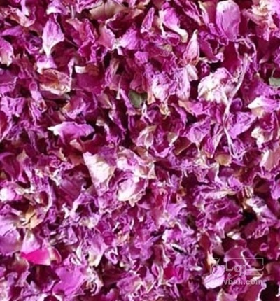 فروش گل محمدی (گیاه‌ دارویی)