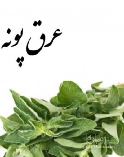 فروش عرق پونه