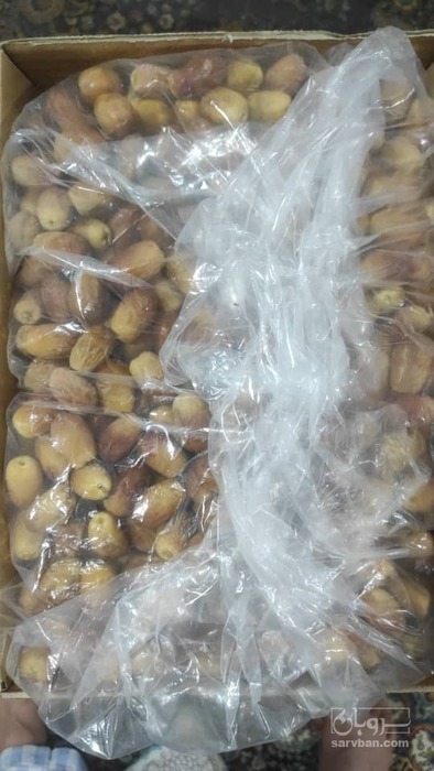 خرما زاهدی صادراتی