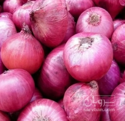 فروش پیاز قرمز
