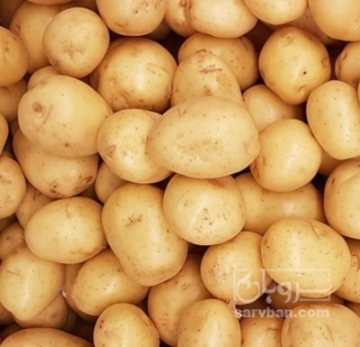 فروش سیب زمینی