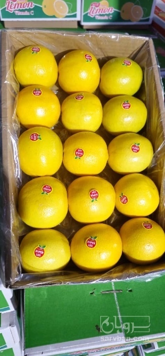 فروش لیمو شیرین