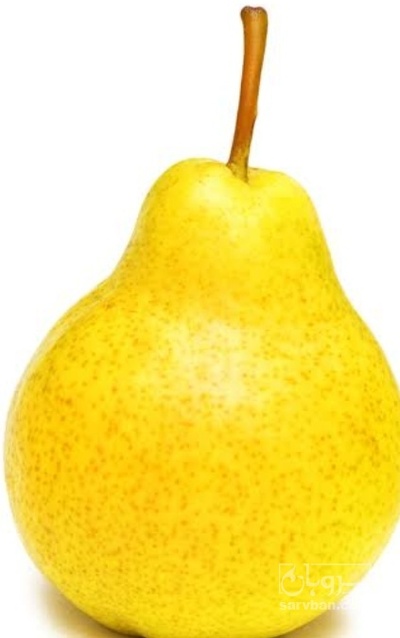 فروش گلابی