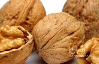 فروش گردو
