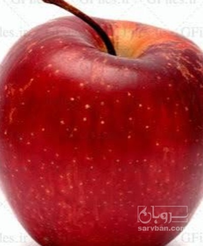 فروش سیب