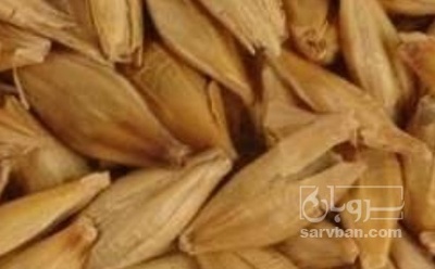 فروش جو